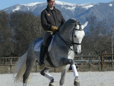 Marbella Horses - Doma Clasica - Entrenamiento caballos - Doblon TR