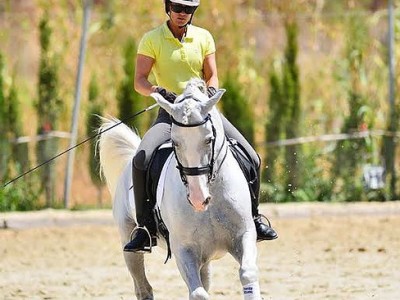 Marbella Horses - Doma Clasica - Entrenamiento caballos - Resalao