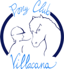 logo-pony-blue200