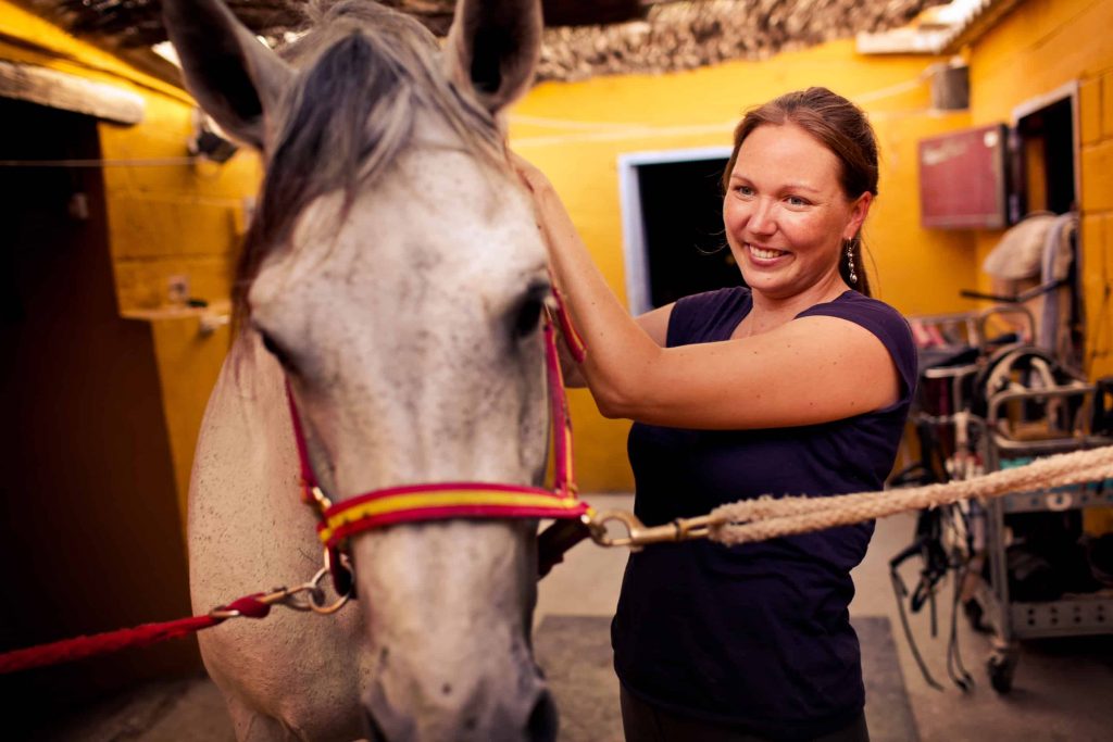 Vet specialized in chiropractic, physiotherapy, and equine rehabilitation