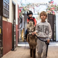 Marbella Horses - Inicio - Pony Club Villacana (3)