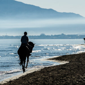 horse walk along beach Marbella