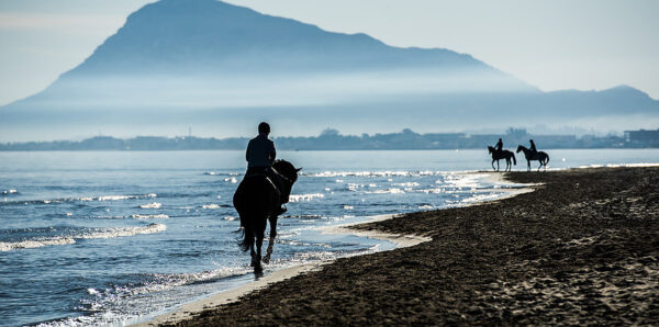 horse walk along beach Marbella